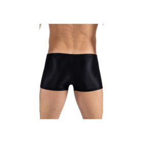 Boxer noir Daring 